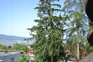 Schöne Aussicht auf die Stadt Zürich