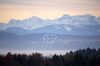 Blick übers Nebelmeer über der Greifensee-Ebene in die Alpen