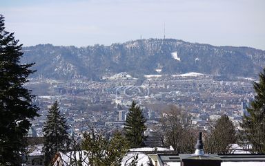 Aussicht auf die Stadt Zürich