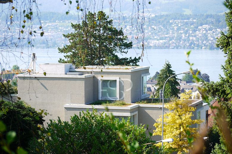 Blick von Norden auf die Villa mit dem Zürichsee im Hintergrund