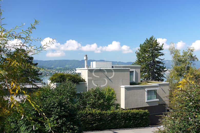Blick von Osten auf die Villa mit dem Zürichsee im Hintergrund