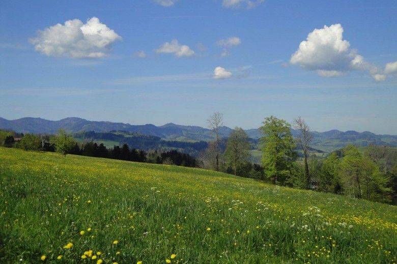 Unverbaubare Panorama-Aussicht in die Natur