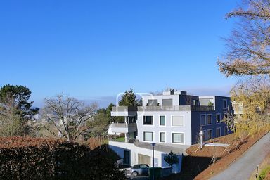 Blick vom Waldrand auf das neue Gebäude