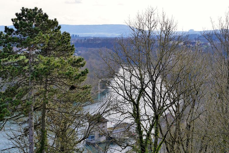 Blick in die Achse des Rhein-Knies