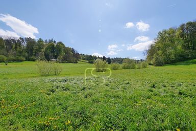 Direkt angrenzend liegt eine wunderbare Naturzone