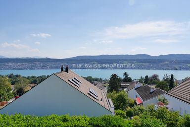 Blick aus dem Wohnzimmer auf den Zürichsee