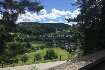 Aussicht in die Naherholungszone Weiningens