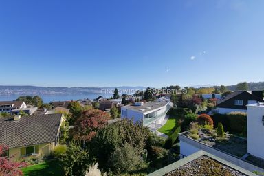 Von links nach rechts: Unverbaubare Panorama-Sicht über den Zürichsee