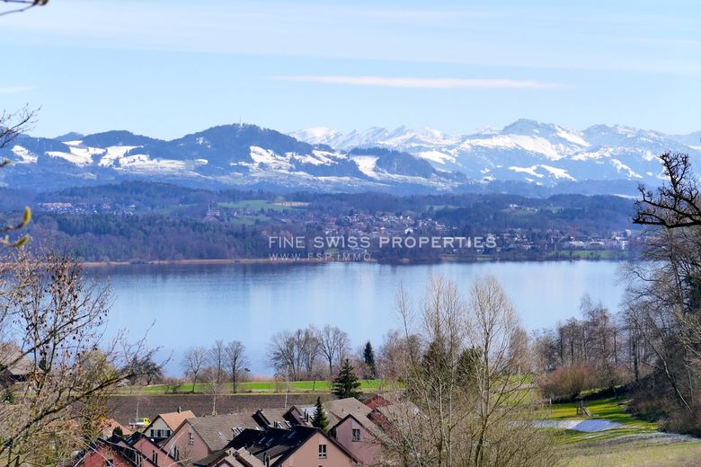 Die traumhafte Aussicht über den Greifensee und in die Voralpen