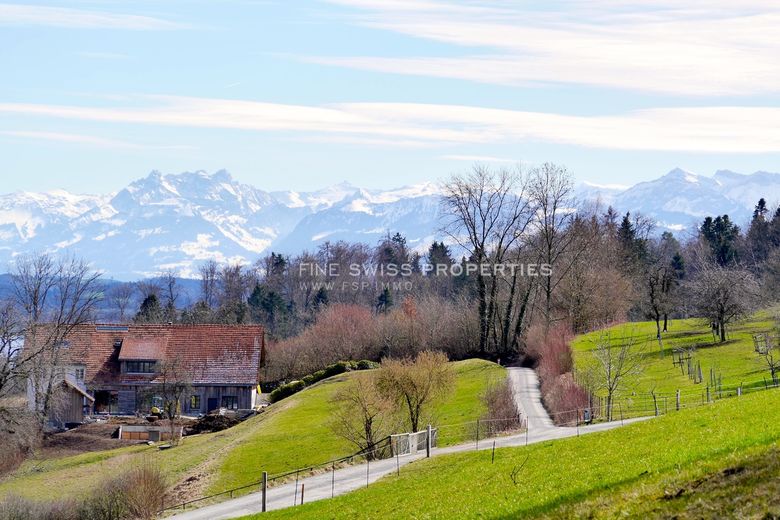 Die traumhafte Aussicht über den Greifensee und in die Voralpen