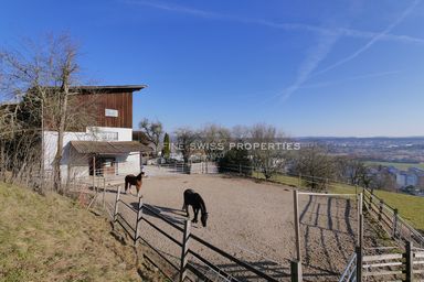 Die Scheune mit Reitplatz