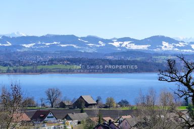 Die traumhafte Aussicht über den Greifensee und in die Voralpen