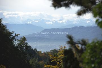 Aussicht über den Zürichsee in die Voralpen