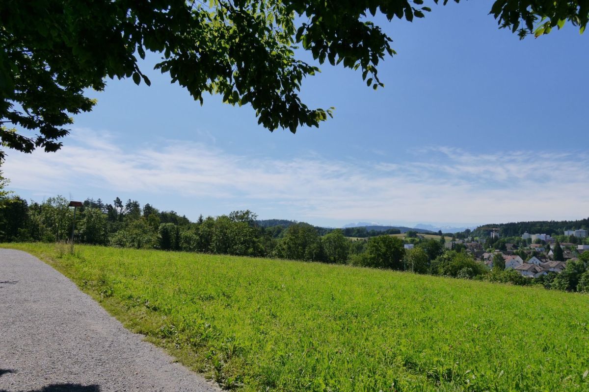 Das Haus liegt direkt an der Natur- und Freihaltezone