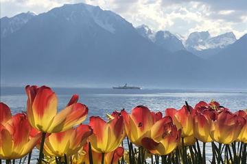 Montreux ...