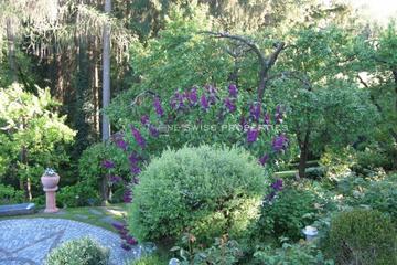 Impressionen aus dem "Garten der Aphrodite"