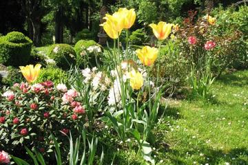 Impressionen aus dem "Garten der Aphrodite"