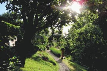 Impressionen aus dem "Garten der Aphrodite"