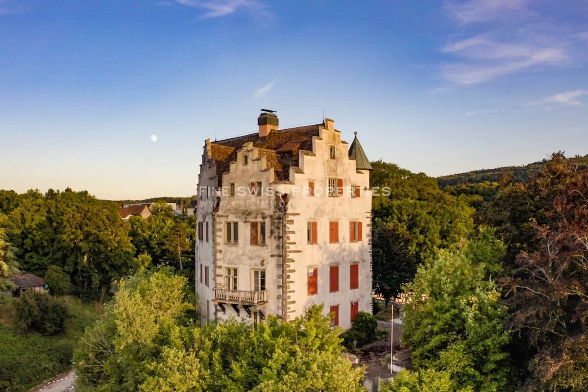 Schloss Salenstein aus der Vogelperspektive