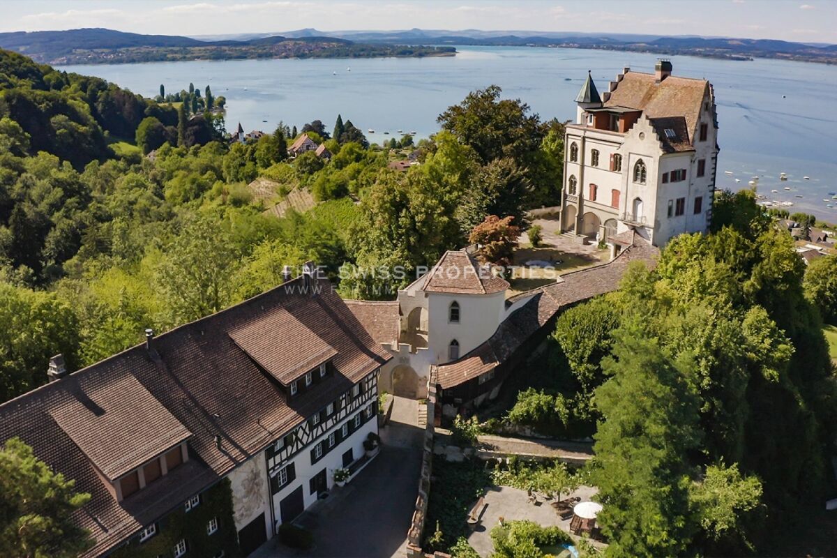 Schloss Salenstein aus der Vogelperspektive