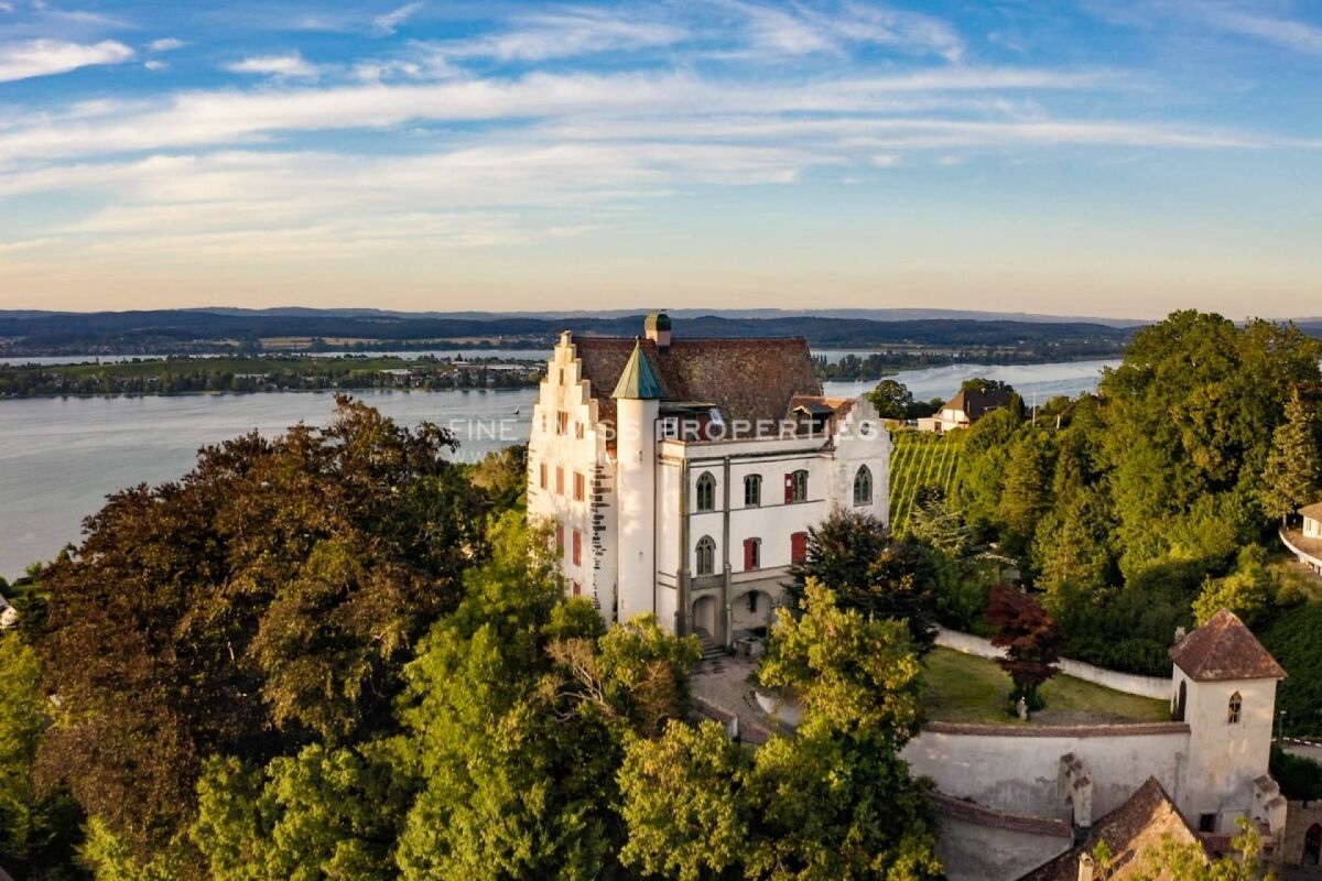 Schloss Salenstein aus der Vogelperspektive