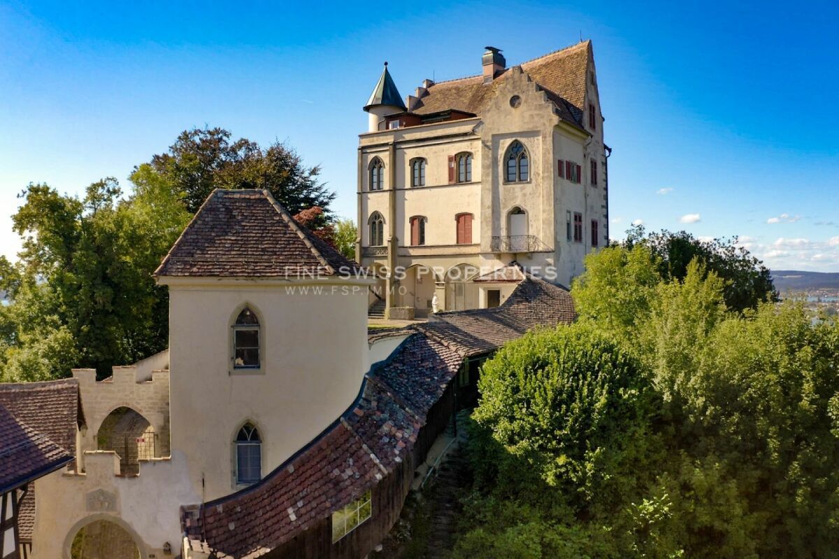 Schloss Salenstein aus der Vogelperspektive