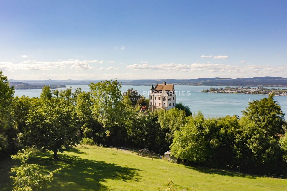 Schloss Salenstein aus der Vogelperspektive