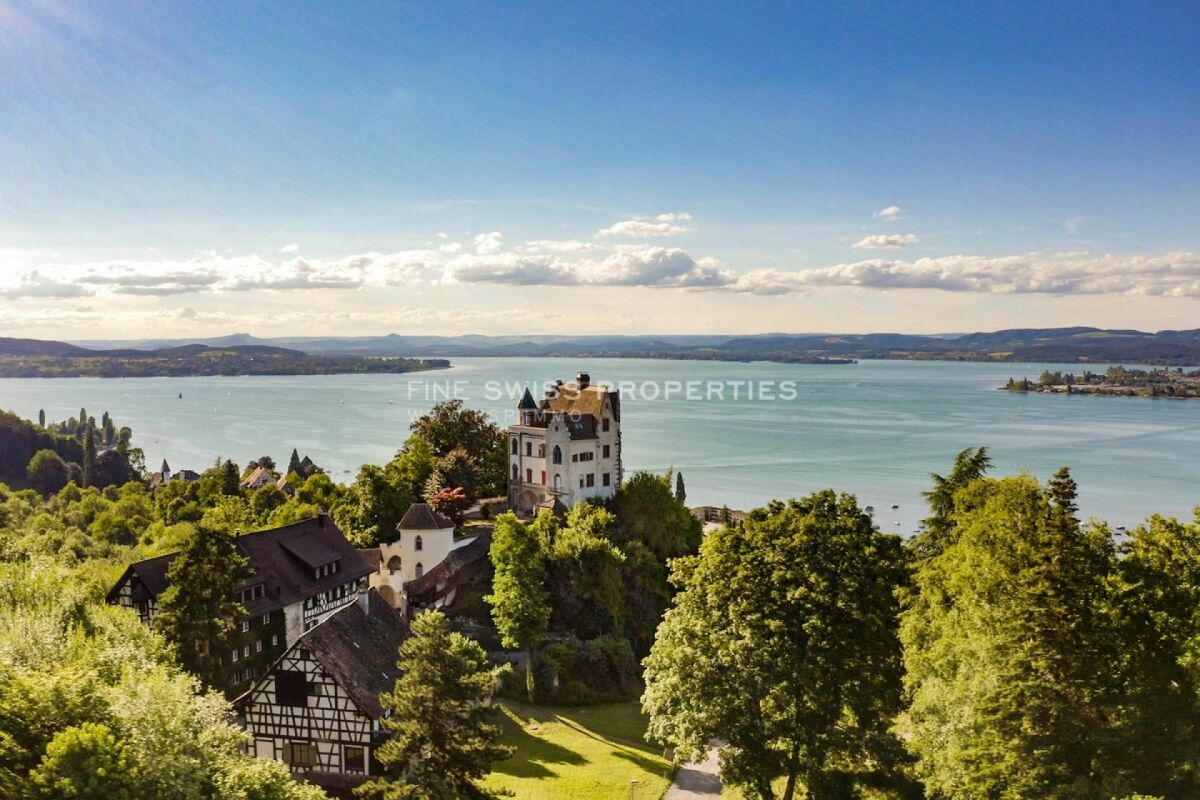 Schloss Salenstein aus der Vogelperspektive