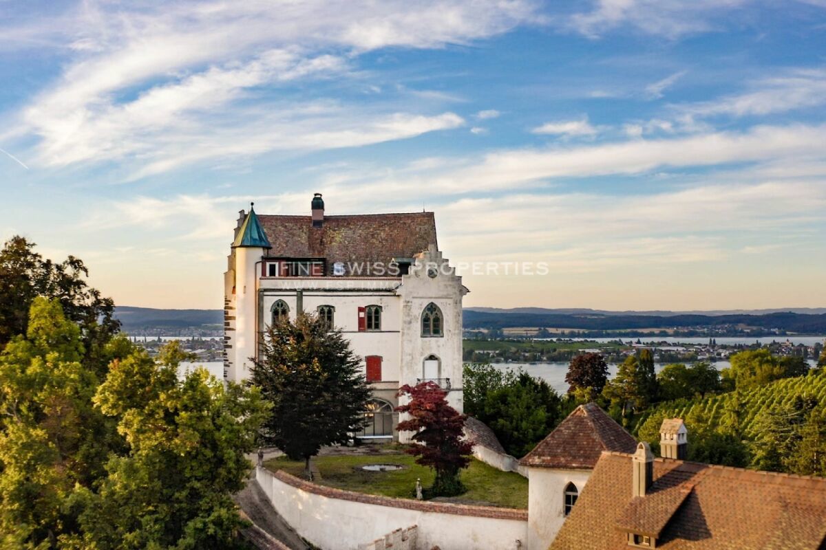 Schloss Salenstein aus der Vogelperspektive