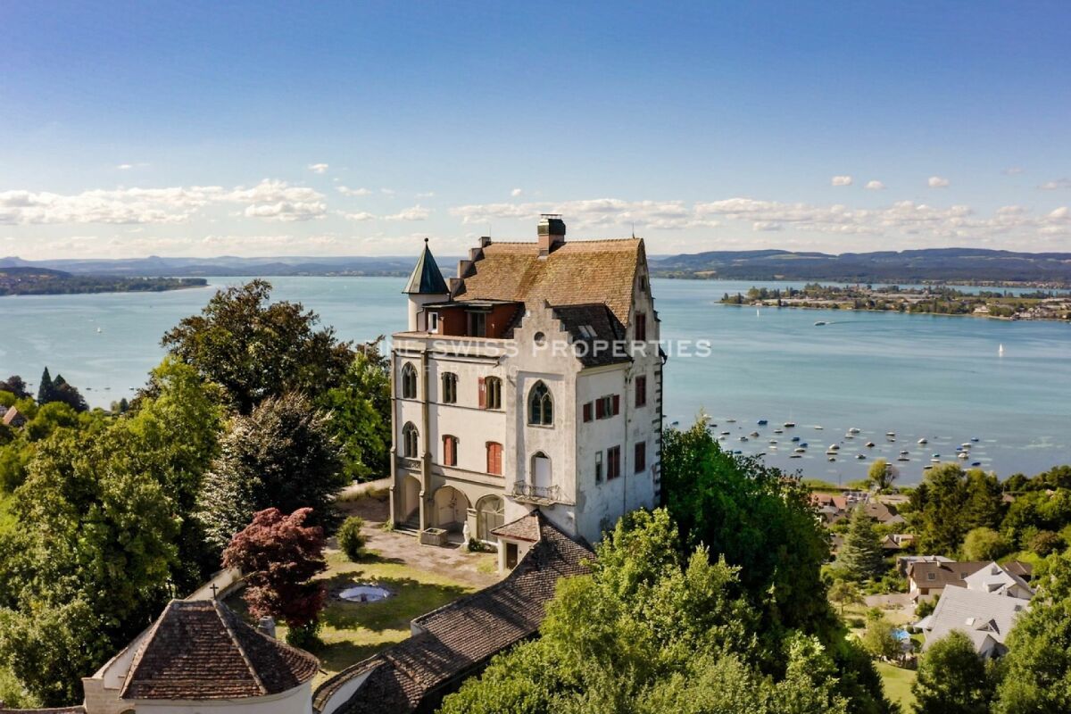 Schloss Salenstein aus der Vogelperspektive