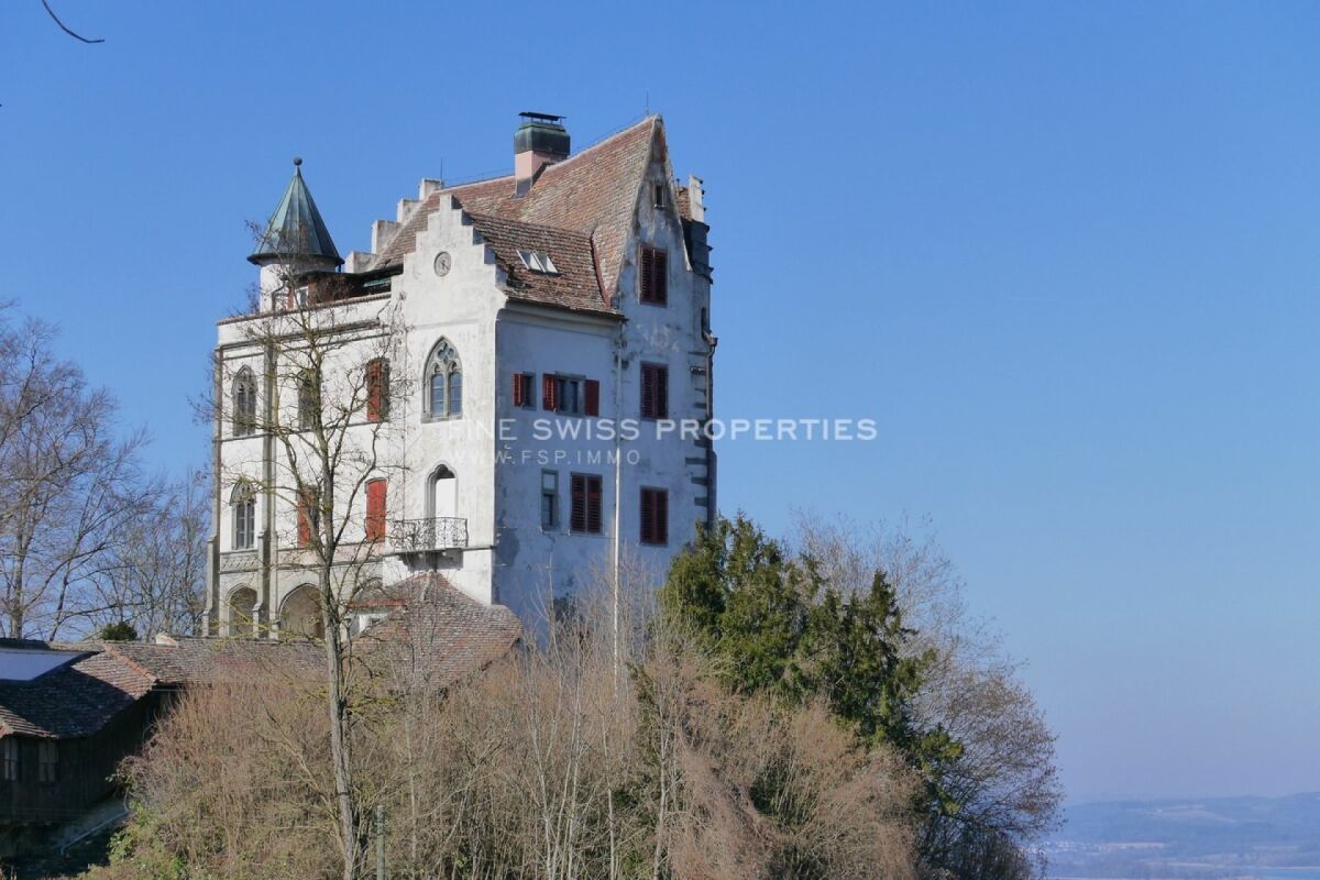 Schloss Salenstein aus der Vogelperspektive