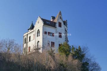 Schloss Salenstein aus der Vogelperspektive