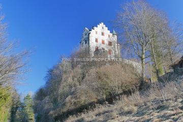 Schloss Salenstein aus der Vogelperspektive