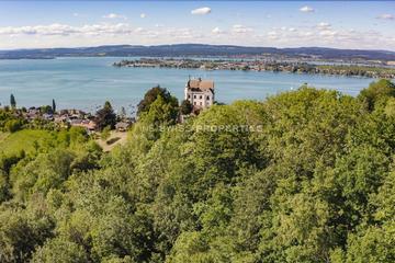 Schloss Salenstein aus der Vogelperspektive