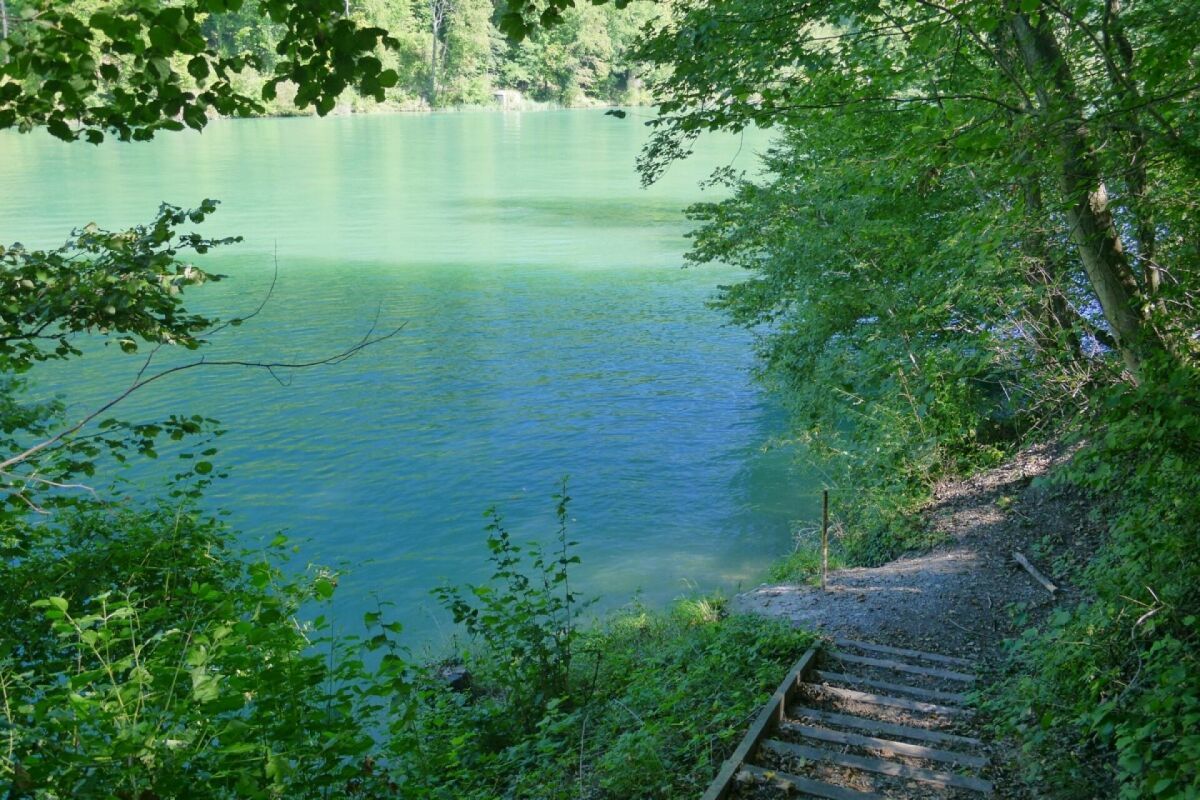 In nur 5 Gehminuten erreicht man den Rhein mit seinen idyllischen Badeplätzen