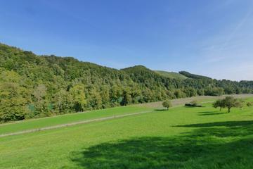 Blick vom Garten über die Wiesen und Felder auf den Rhein und den Buchberg