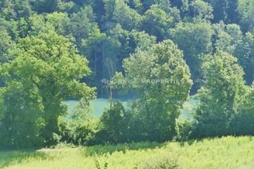 Blick vom Garten über die Wiesen und Felder auf den Rhein und den Buchberg