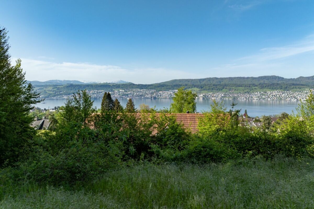 Aussicht von der Parzelle