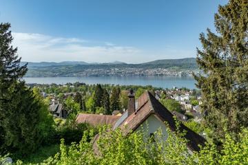 Aussicht vom obersten Punkt der Parzelle