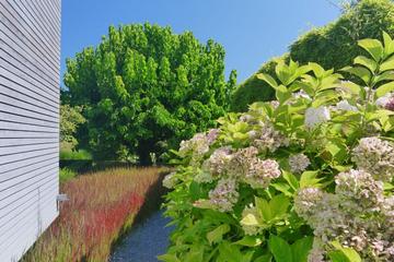Eine Blumenpracht, wohin das Auge sieht!