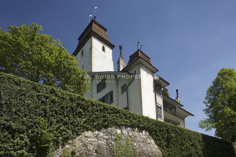 Immobilienmakler Zürich: Immobilie Aussenansicht Be Ruemligen Schloss 13