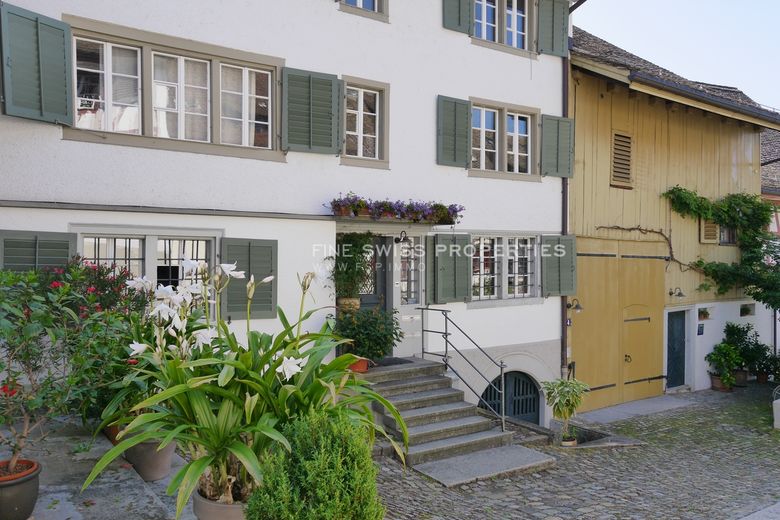 Immobilienmakler Zürich: Immobilie Aussenansicht Zh Zuerich Fluehgasse 72
