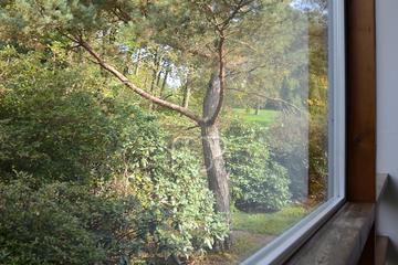 Immobilienmakler Z&uuml;rich: Immobilie Innenansicht Dsc 5085