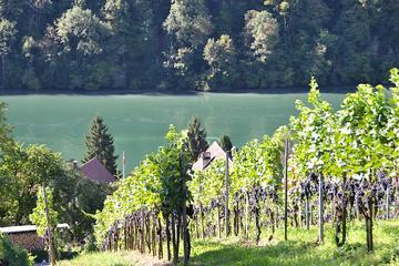 Immobilienmakler Z&uuml;rich: Immobilie Aussicht Fineswissproperties View 017