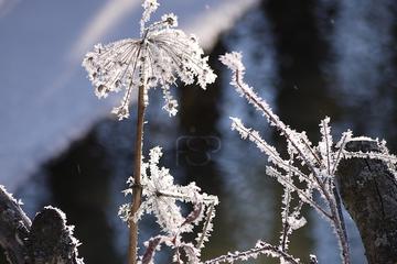 Immobilienmakler Z&uuml;rich: Immobilie Aussicht Fineswissproperties View 045