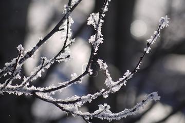 Immobilienmakler Z&uuml;rich: Immobilie Aussicht Fineswissproperties View 047