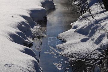 Immobilienmakler Z&uuml;rich: Immobilie Aussicht Fineswissproperties View 049