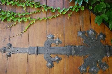 Immobilienmakler Z&uuml;rich: Immobilie Aussicht Fineswissproperties View 065