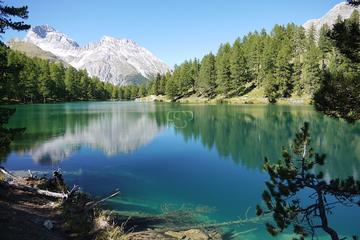 Immobilienmakler Z&uuml;rich: Immobilie Aussicht Fineswissproperties View 094