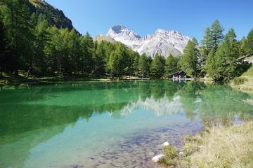 Immobilienmakler Z&uuml;rich: Immobilie Aussicht Fineswissproperties View 098